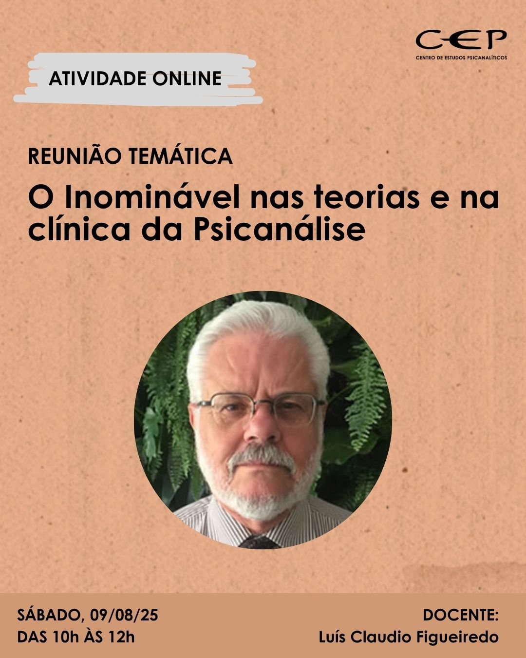 Reunião Temática com Luís Claudio Figueiredo