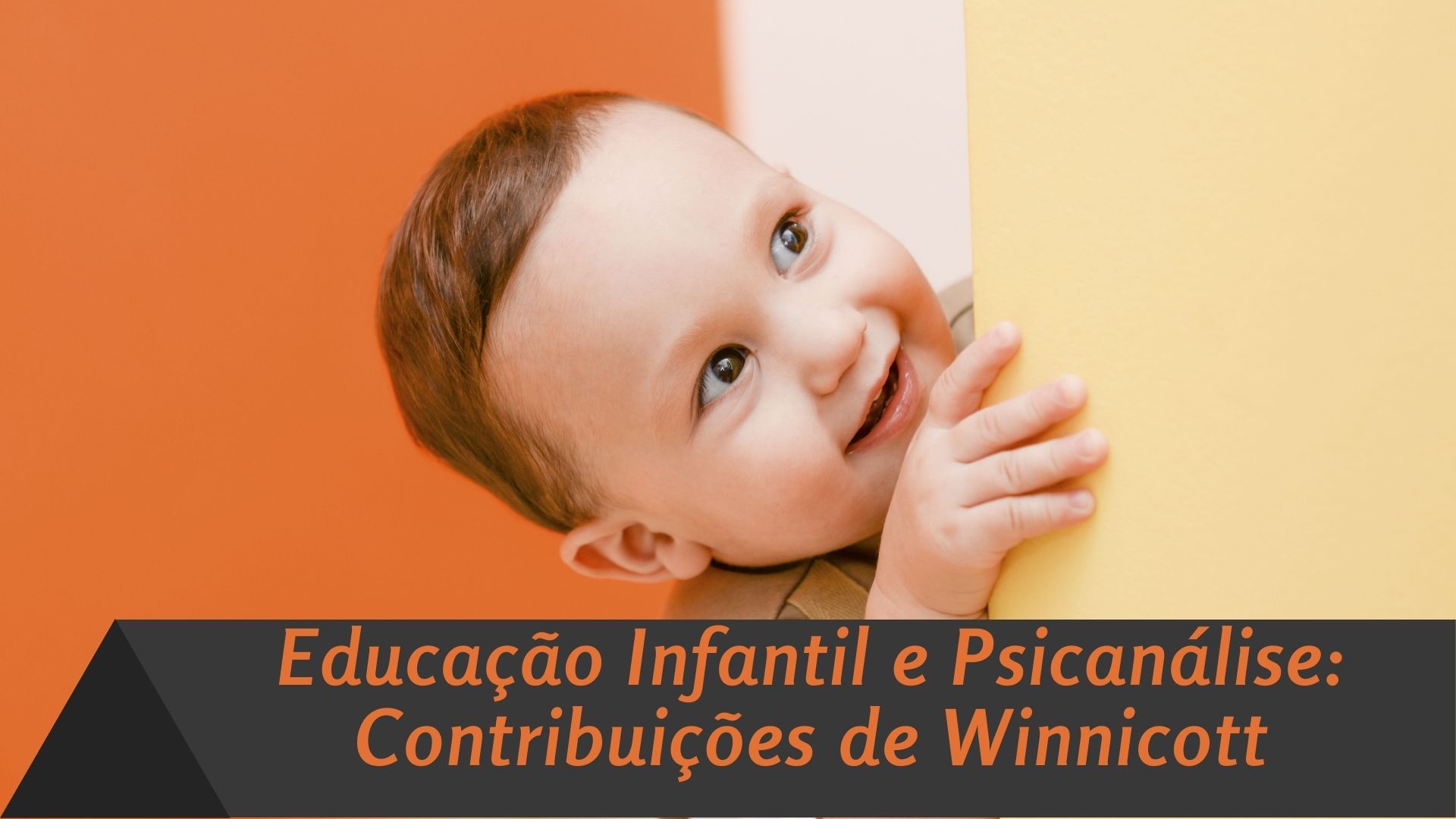 Educação Infantil e Psicanálise - Contribuições de Winnicott