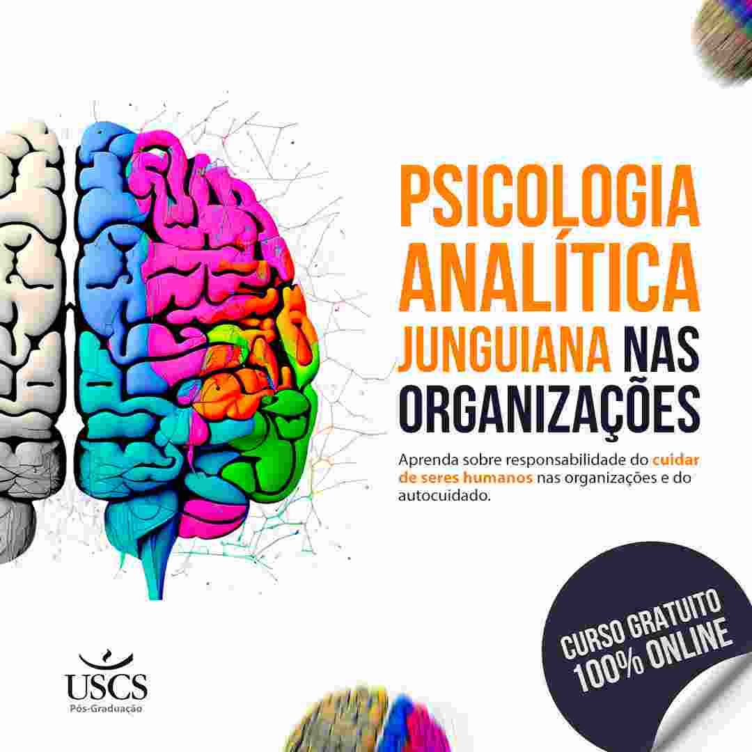 Psicologia Analítica Junguiana nas Organizações