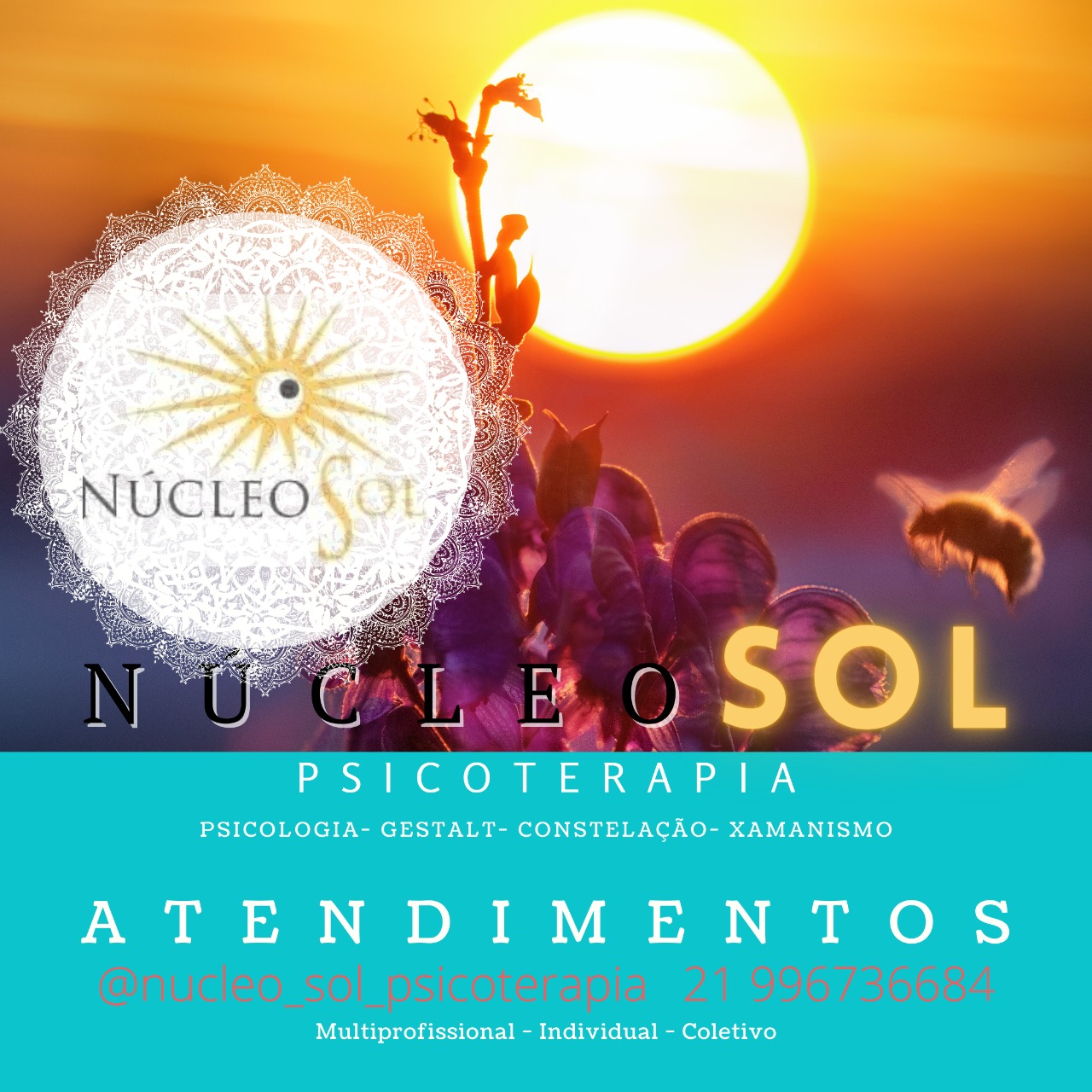 Psicoterapia de Grupo